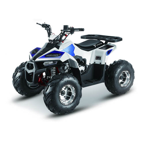 Квадроцикл MMG ATV MudHawk 110cc