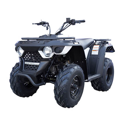 Квадроцикл Linhai Eyas M150 150cc